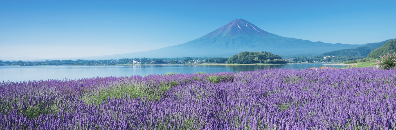 富士山